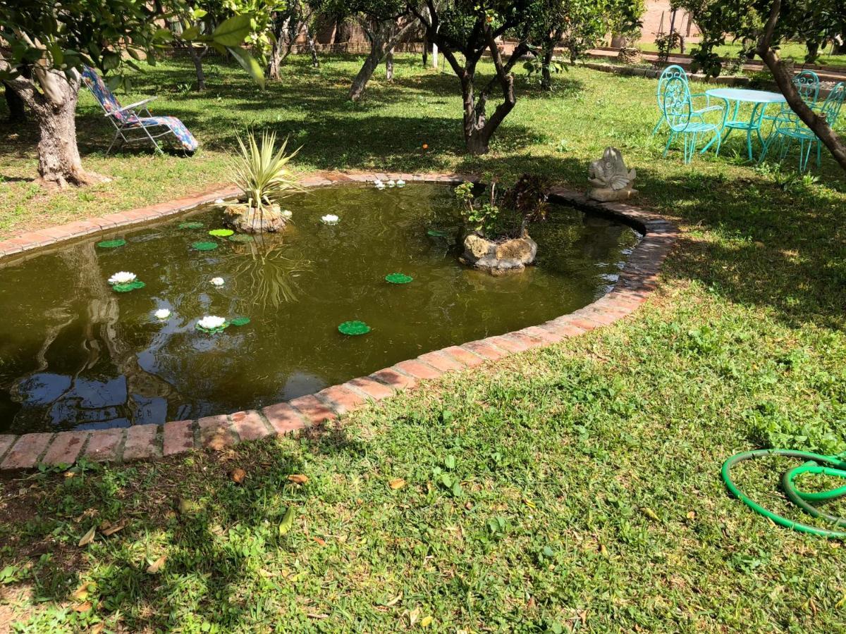 La Casita Del Cactus - Casa De Campo Con Piscina Alcalá de Guadaira Εξωτερικό φωτογραφία