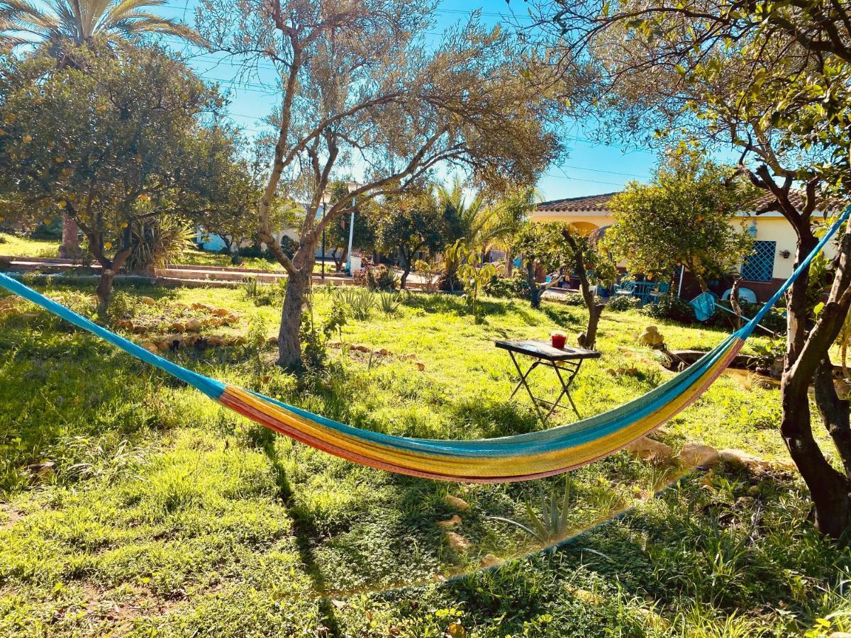 La Casita Del Cactus - Casa De Campo Con Piscina Alcalá de Guadaira Εξωτερικό φωτογραφία