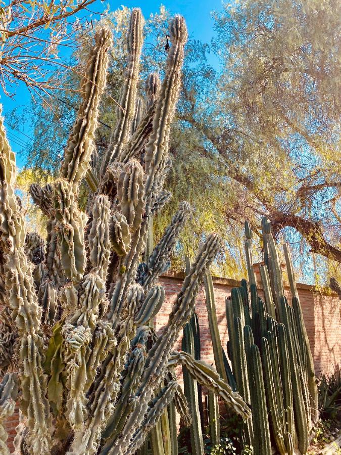 La Casita Del Cactus - Casa De Campo Con Piscina Alcalá de Guadaira Εξωτερικό φωτογραφία